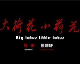 大荷花小荷花全集