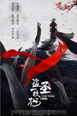 盗圣一枝梅全集