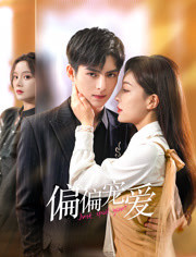 偏偏宠爱全集