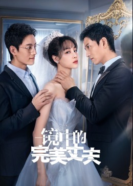 镜中的完美丈夫全集