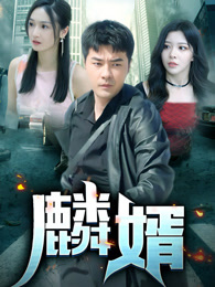 麟婿全集