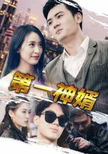 第一神婿全集
