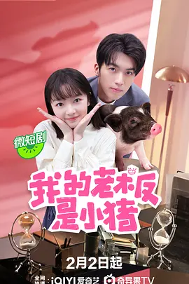 我的老板是小猪全集