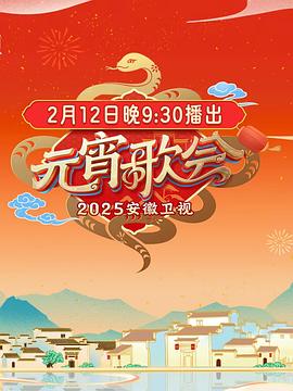 2025安徽卫视元宵晚会全集