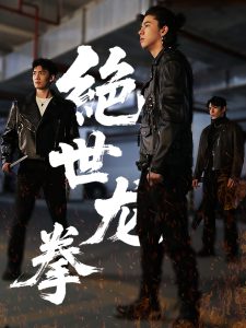 绝世龙拳全集