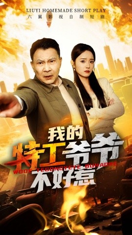 我的特工爷爷不好惹全集