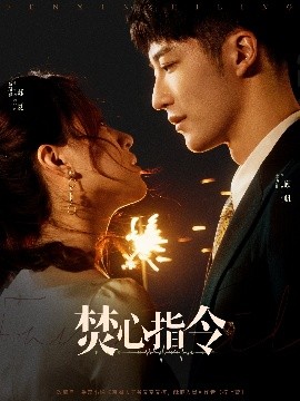 焚心指令全集
