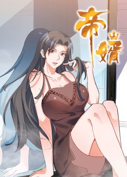帝婿全集