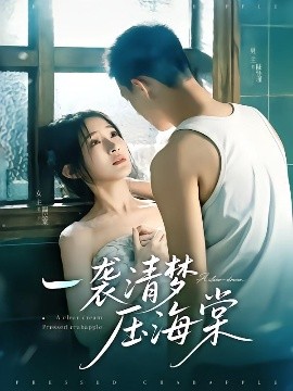 一袭清梦压海棠全集