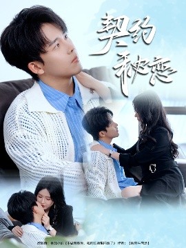 契约秘恋全集