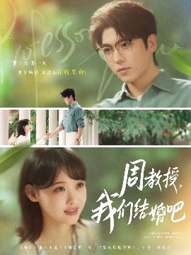 周教授我们结婚吧全集