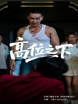 高位之下全集