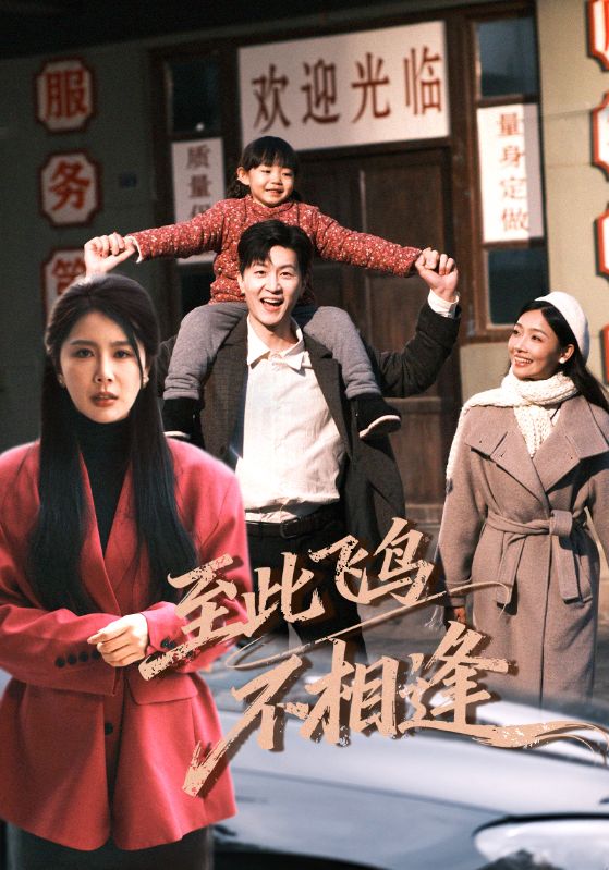 至此飞鸟不相逢全集