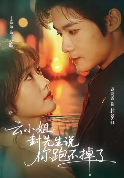 云小姐，封先生说你跑不掉了全集