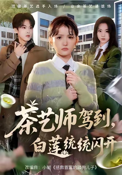 茶艺师驾到白莲统统闪开全集