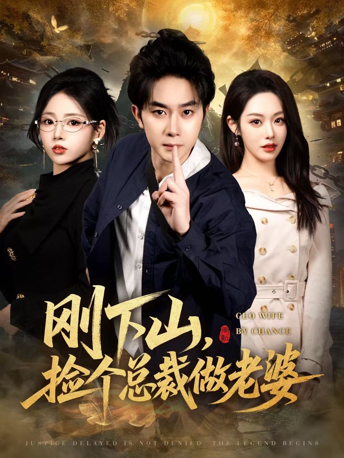 刚下山捡个总裁做老婆全集