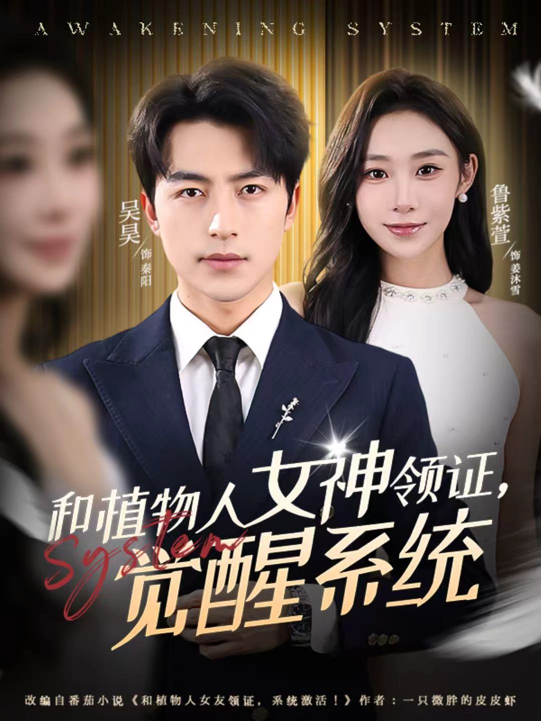 和植物人女神领证，觉醒系统全集