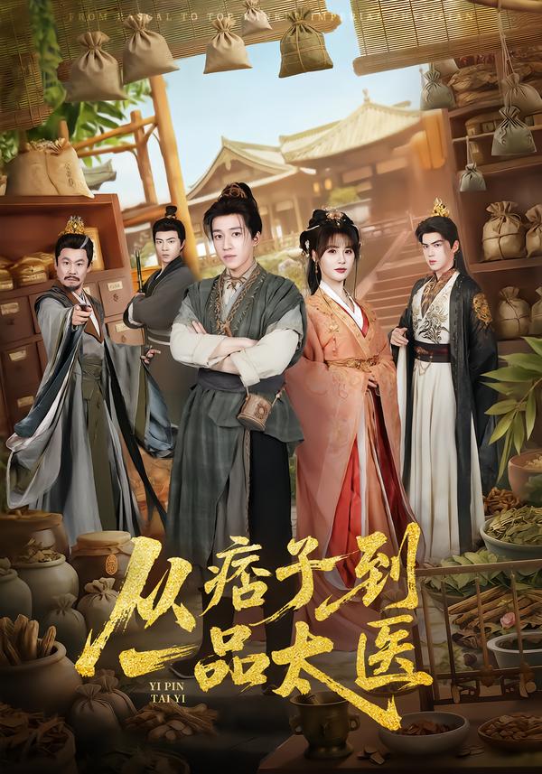 从痞子到一品太医全集
