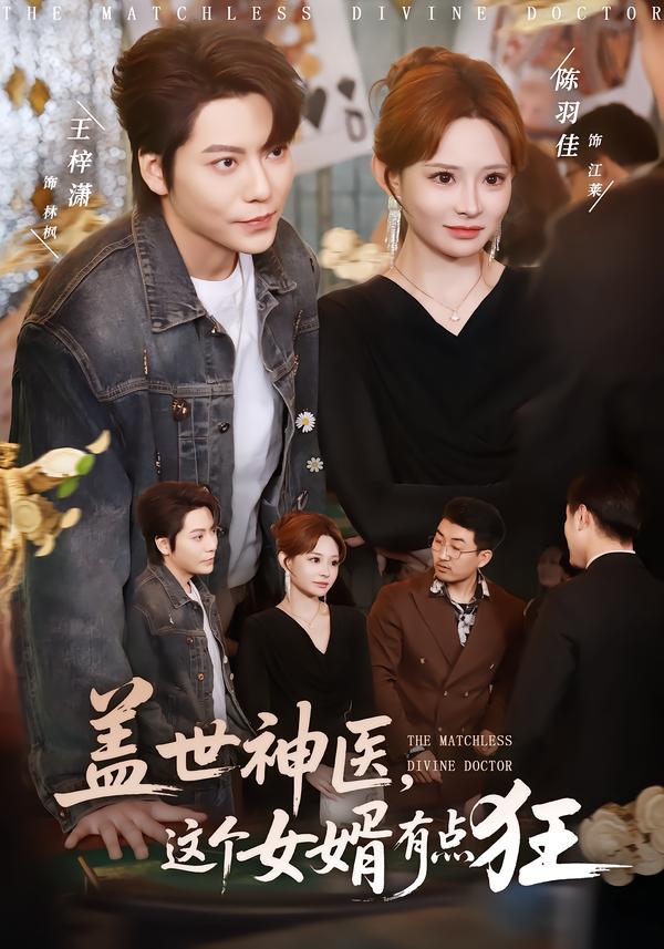 盖世神医，这个女婿有点狂全集