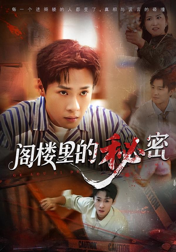 阁楼里的秘密全集