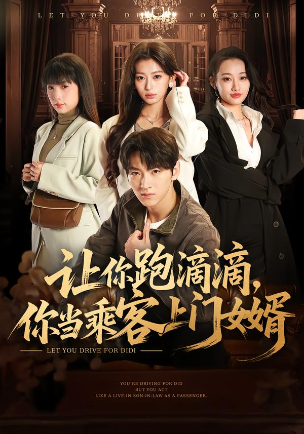 让你跑滴滴，你当乘客上门女婿全集