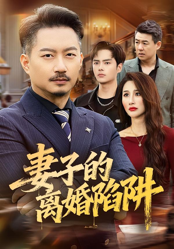 妻子的离婚陷阱全集