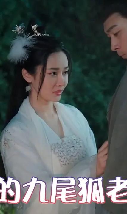 我的九尾狐老婆全集