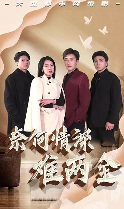 奈何情深难两全全集