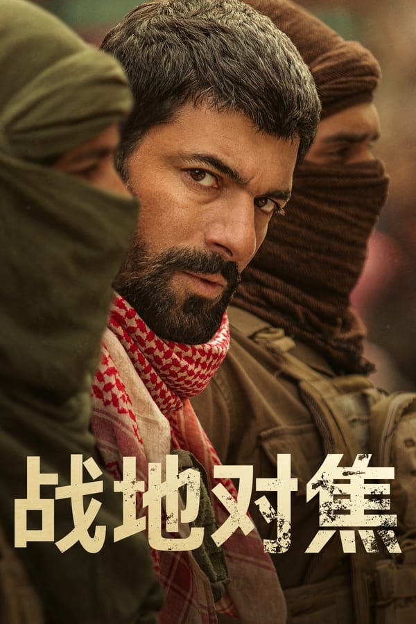 战地对焦全集