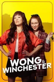 神探双妹唛第一季全集