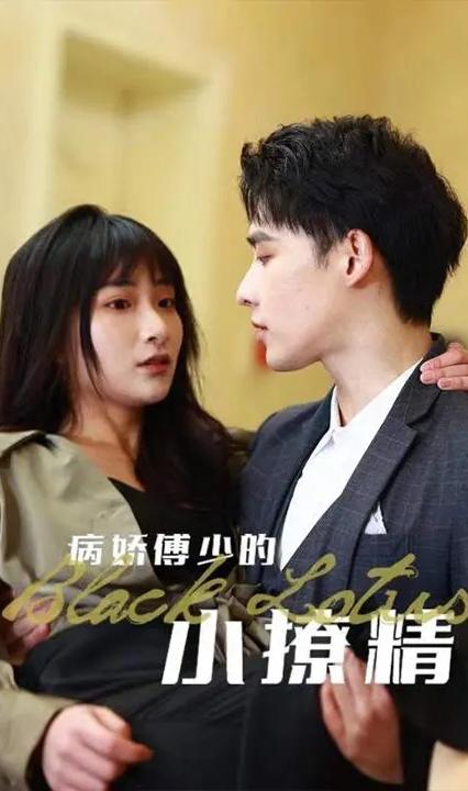 病娇傅少的小撩精全集