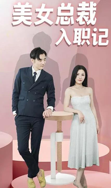 美女总裁入职记全集