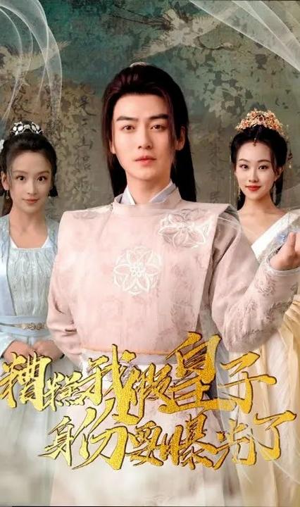 糟糕我假皇子身份要曝光了全集