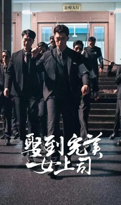 娶到完美女上司全集