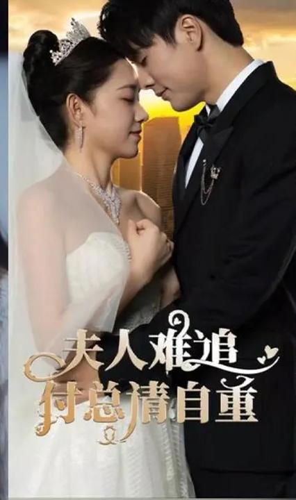 夫人难追，付总请自重全集