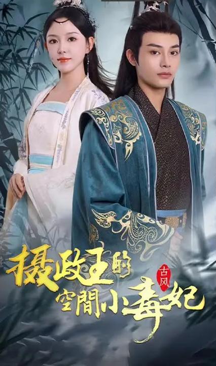 摄政王的空间小毒妃全集