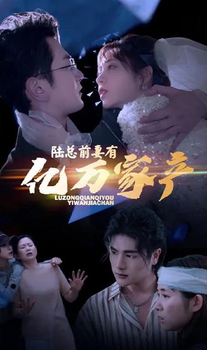 拒不复婚：前妻她身家千亿全集