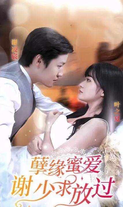 孽缘蜜爱谢少求放过全集
