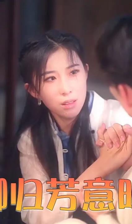 卿归芳意晚全集