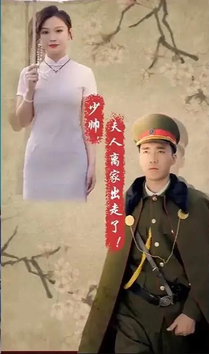 少帅，夫人离家出走了全集