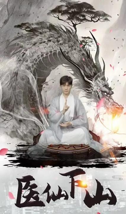 医仙下山全集
