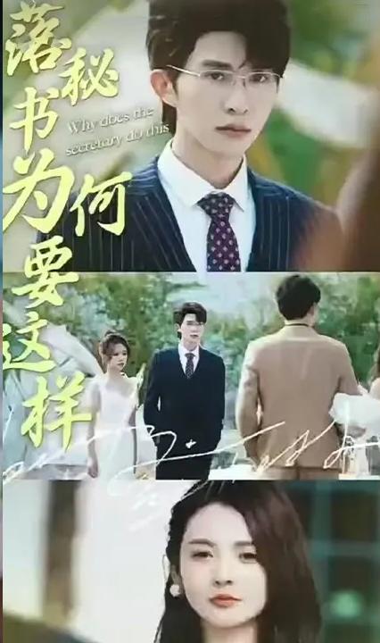 落秘书为何要这样全集
