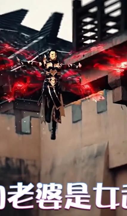 我的老婆是女武神全集