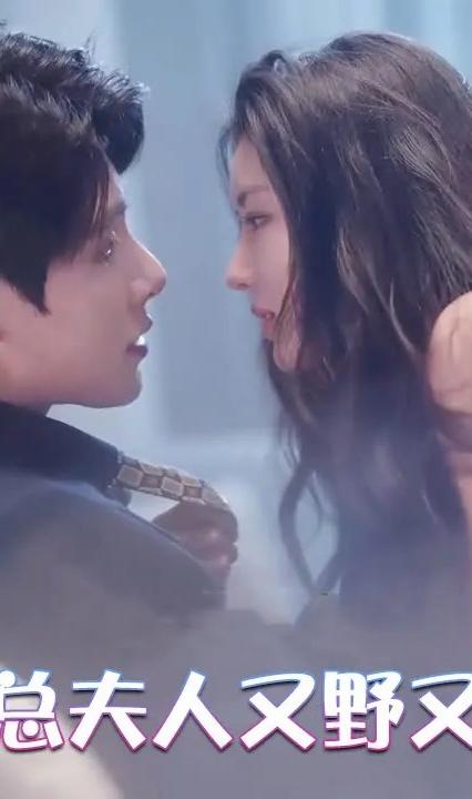 陆总夫人又野又甜全集