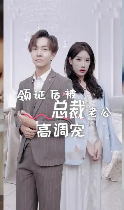 领证后，被总裁老公高调宠全集