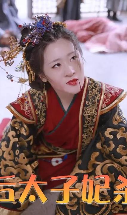 重生后太子妃杀疯了全集