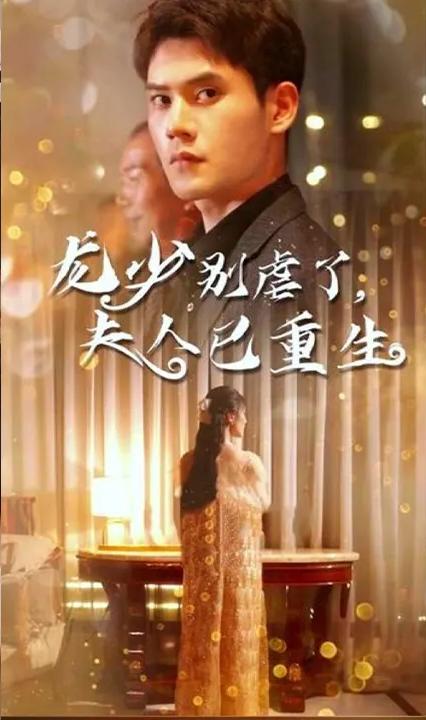 龙少别虐了，夫人已重生全集