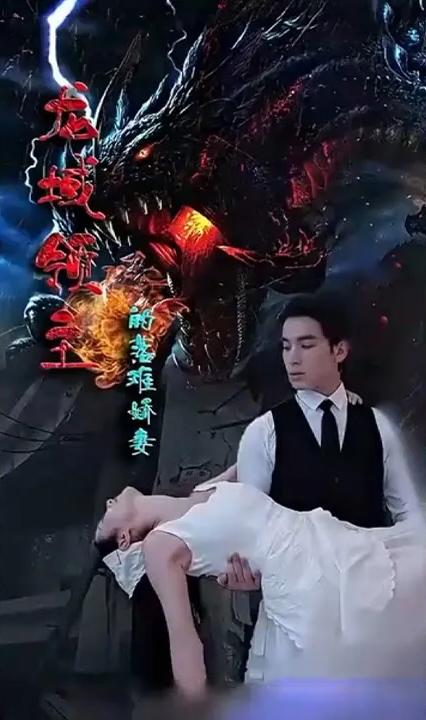 龙域领主的落难娇妻全集