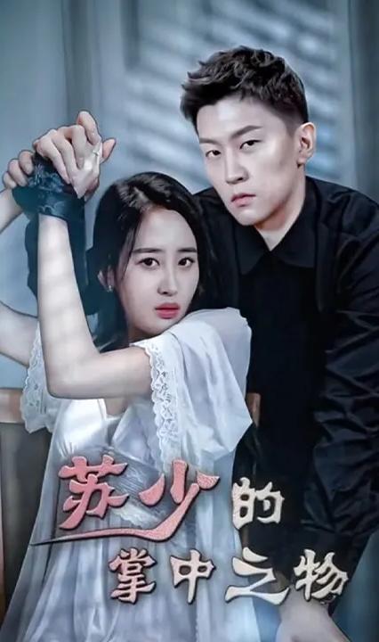 苏少的掌中之物全集