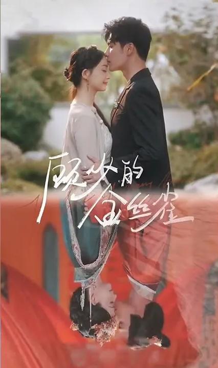 顾少的金丝雀全集